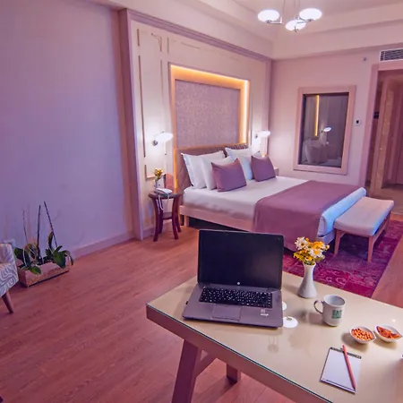 The Park Hotel 5*